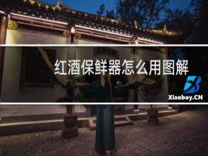 红酒保鲜器怎么用图解
