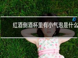红酒倒酒杯里有小气泡是什么