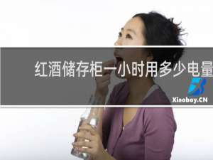 红酒储存柜一小时用多少电量