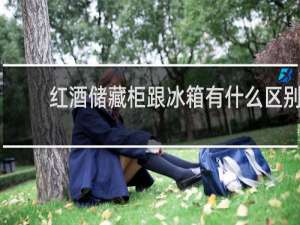 红酒储藏柜跟冰箱有什么区别
