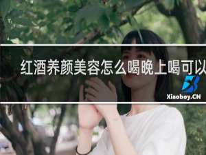 红酒养颜美容怎么喝晚上喝可以吗