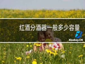 红酒分酒器一般多少容量