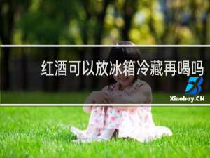 红酒可以放冰箱冷藏再喝吗