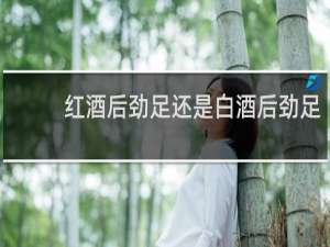 红酒后劲足还是白酒后劲足