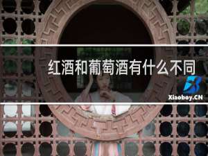 红酒和葡萄酒有什么不同