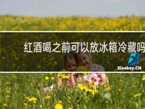 红酒喝之前可以放冰箱冷藏吗