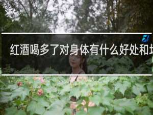 红酒喝多了对身体有什么好处和坏处