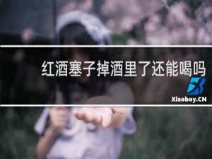 红酒塞子掉酒里了还能喝吗