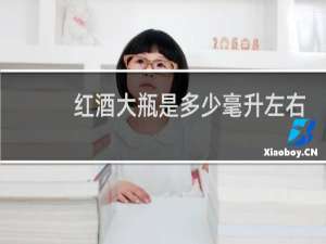 红酒大瓶是多少毫升左右