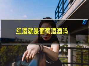 红酒就是葡萄酒酒吗