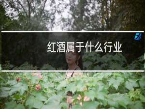 红酒属于什么行业