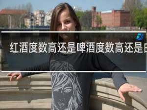 红酒度数高还是啤酒度数高还是白酒