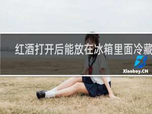 红酒打开后能放在冰箱里面冷藏吗