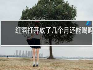 红酒打开放了几个月还能喝吗