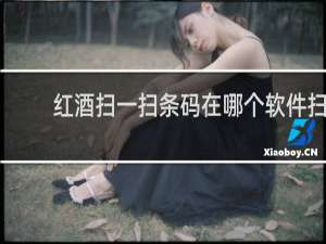 红酒扫一扫条码在哪个软件扫