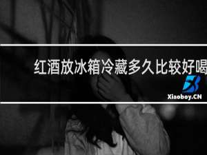 红酒放冰箱冷藏多久比较好喝