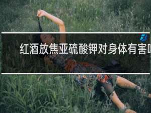红酒放焦亚硫酸钾对身体有害吗