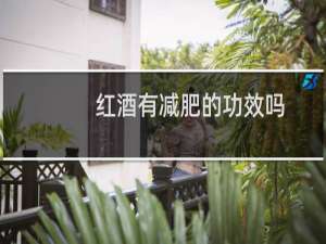 红酒有减肥的功效吗