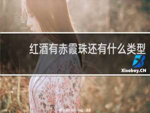 红酒有赤霞珠还有什么类型