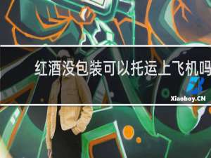 红酒没包装可以托运上飞机吗