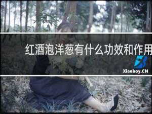 红酒泡洋葱有什么功效和作用