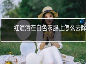 红酒洒在白色衣服上怎么去除