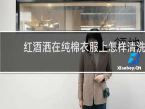 红酒洒在纯棉衣服上怎样清洗