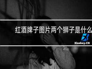 红酒牌子图片两个狮子是什么