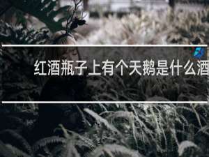 红酒瓶子上有个天鹅是什么酒