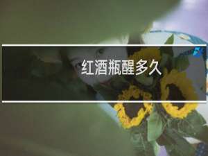红酒瓶醒多久
