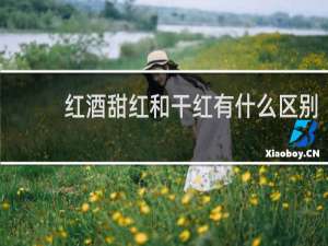 红酒甜红和干红有什么区别