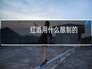 红酒用什么酿制的
