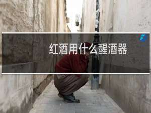 红酒用什么醒酒器