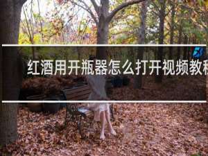 红酒用开瓶器怎么打开视频教程