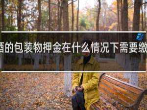 红酒的包装物押金在什么情况下需要缴纳增值税