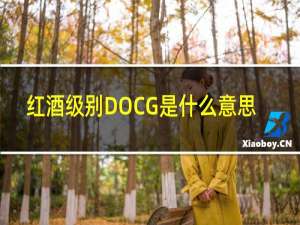 红酒级别DOCG是什么意思