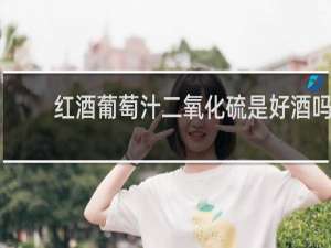 红酒葡萄汁二氧化硫是好酒吗