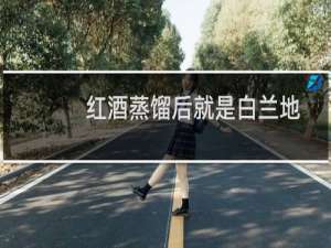 红酒蒸馏后就是白兰地