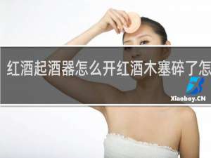 红酒起酒器怎么开红酒木塞碎了怎么办