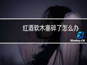 红酒软木塞碎了怎么办