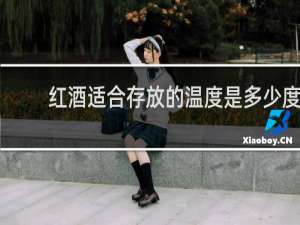 红酒适合存放的温度是多少度