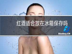红酒适合放在冰箱保存吗