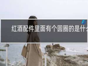 红酒配件里面有个圆圈的是什么
