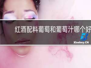 红酒配料葡萄和葡萄汁哪个好