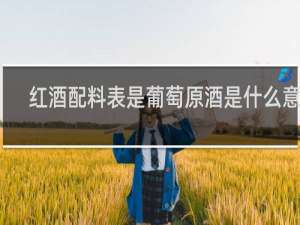 红酒配料表是葡萄原酒是什么意思