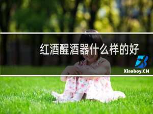 红酒醒酒器什么样的好