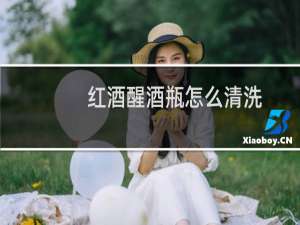 红酒醒酒瓶怎么清洗