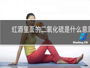 红酒里面的二氧化硫是什么意思