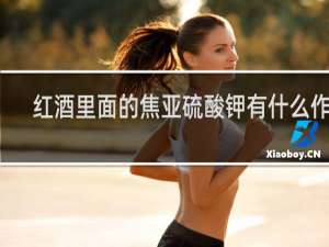 红酒里面的焦亚硫酸钾有什么作用
