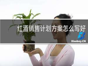 红酒销售计划方案怎么写好